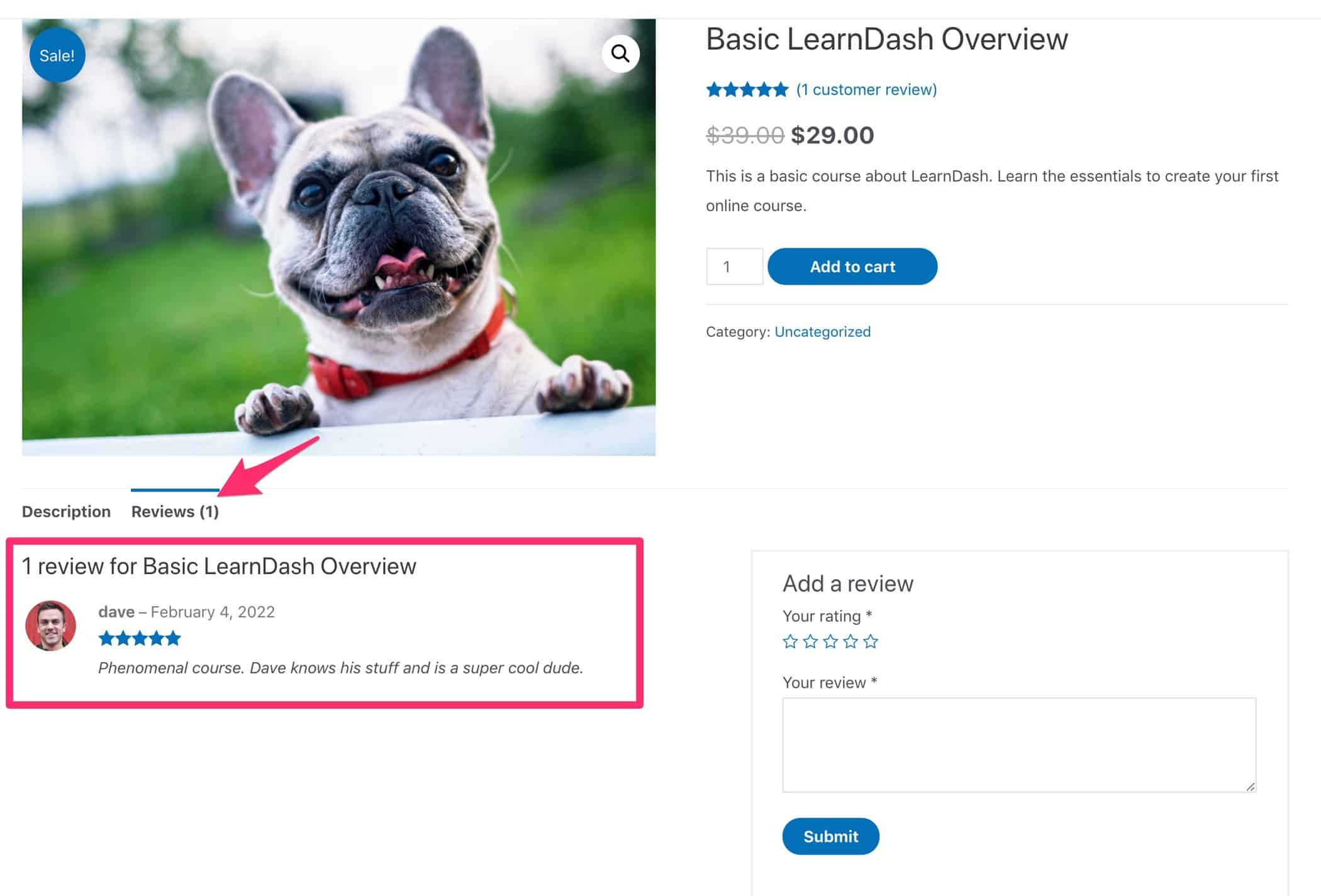 LearnDash Course Reviews (Plugins & Other Options)